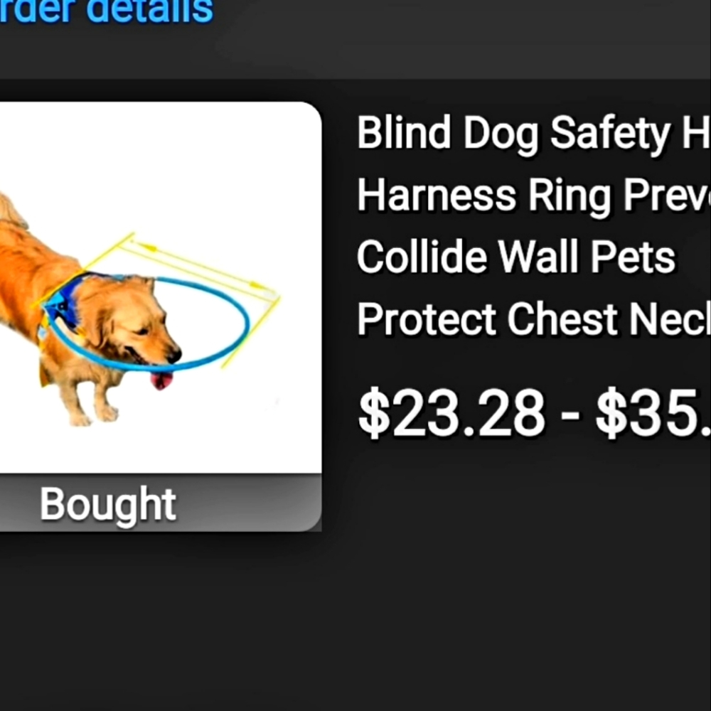 Blind dog halo